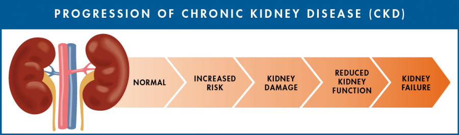 Chronic Kidney Disease progression banner