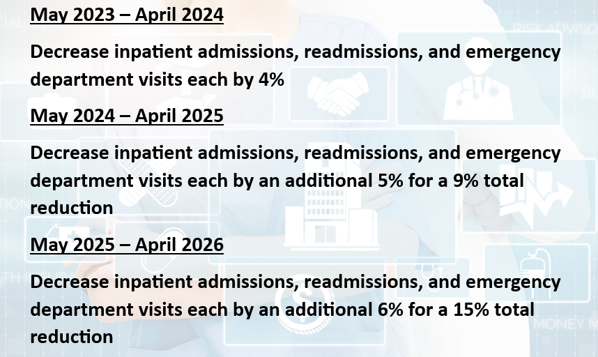 Project goals May 2024 - April 2025