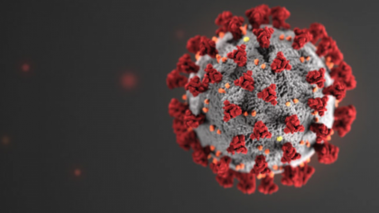 picture of COVID-19 virus